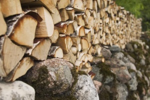 20% по-скъпи са дървата за огрев във Велико Търново