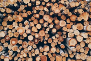 По-скъпи дърва за огрев в Пловдив тази зима