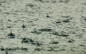 Апелативният съд: Само дъждът е виновен за трагедията в Аспарухово