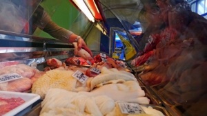 БАБХ затяга контрола върху месото в заведения и складове заради африканската чума