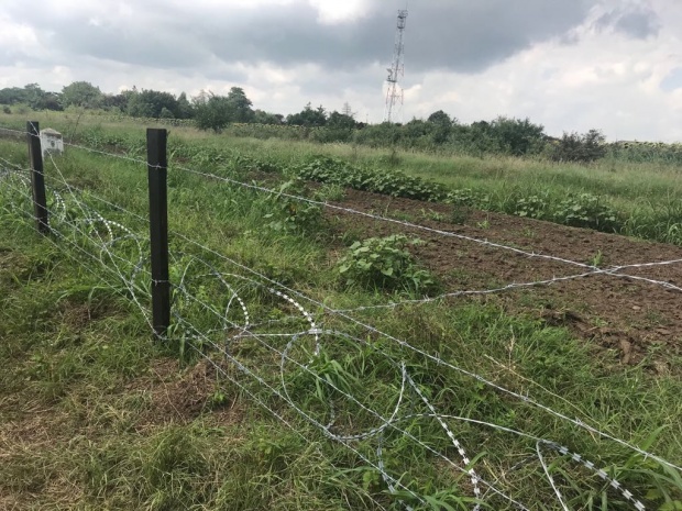 81 км телена ограда ще ни пази от болни диви свине от Румъния