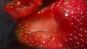 Австралия разследва игли в ягоди на пазара