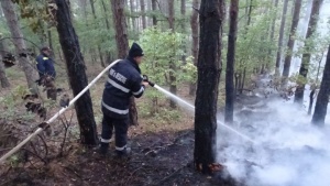 Локализиран е горският пожар над благоевградското село Дренково