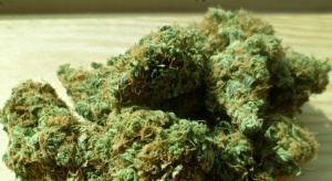 Задържан с близо 70 грама марихуана сключи споразумение със съда
