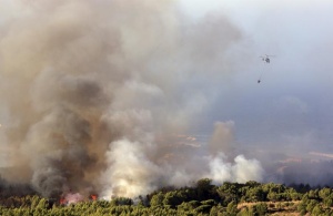 Огромен пожар в национален парк в Португалия