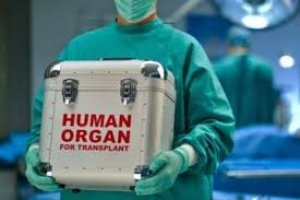 Над 1100 българи чакат за трансплантация