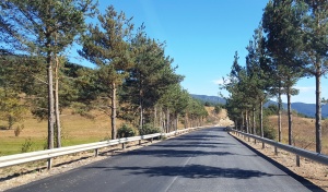 Приключва ремонтът на 7 км от пътя  Сърница - Доспат