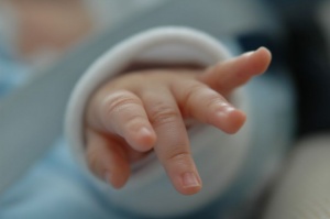 „Капана” намигва за всяко новородено