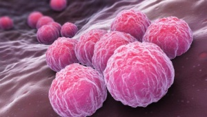 Шведски учени създадоха имунни клетки от кожа в борбата с рака