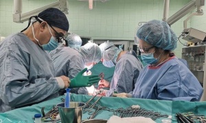 Добрата новина: Виена склони за трансплантациите