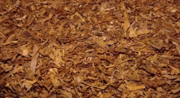 Иззеха близо 5 тона и половина нарязан тютюн без бандерол в Плевен