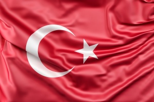 Турция нареди ареста на 295 военни