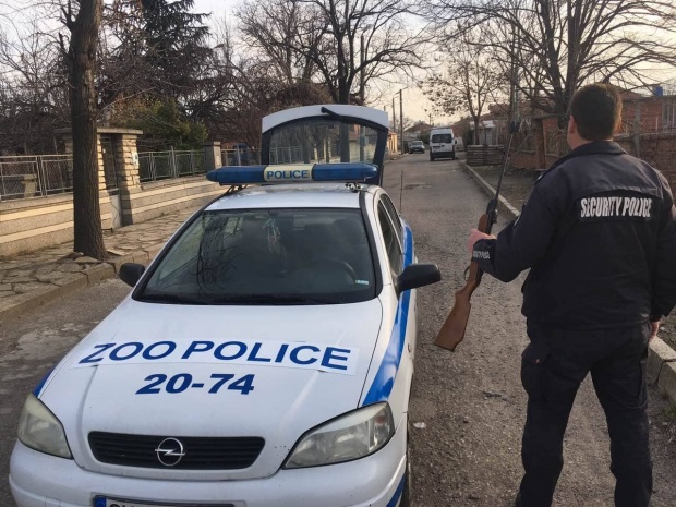 Полицията в Сливен работи по сигнал за пострадали домашни животни в квартал „Речица“