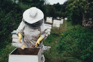 Пчелари се заканиха да блокират главния път Плевен - София
