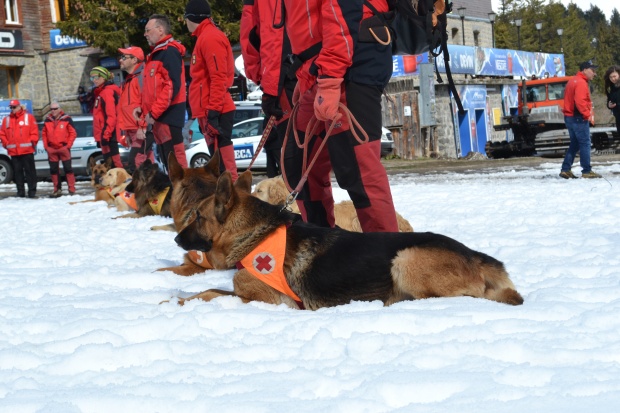БЧК - 45 г работа със спасителни кучета