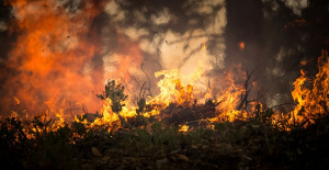 Пожар на площ около 1000 декара край Харманли