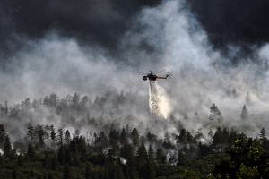 Бразилия отказа помощта на Г-7 за борба с пожарите в Амазония