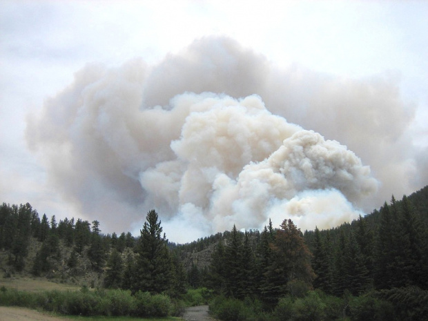 Над 300 декара гора се запали между две села в Новозагорско