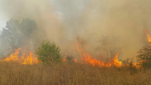 Цял ден продължава пожарът край Сухото езеро в Рила
