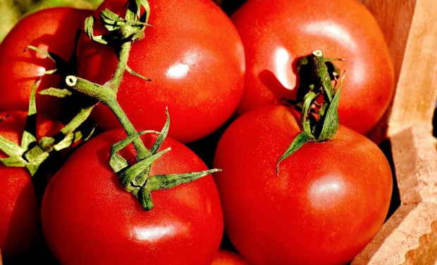 Земеделци: Вносът на зеленчуци ни убива, държавата да го забрани или да вдигне субсидиите