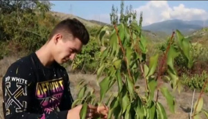Браво! 17-годишен земеделец стана хит в социалните мрежи (ВИДЕО)