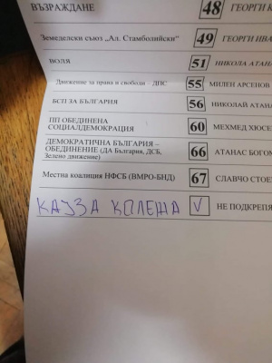 Фенове на Ботев Пловдив гласуват за неодушевен предмет на местния вот
