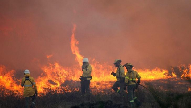 100 хил. евакуирани в Калифорния заради пожарите