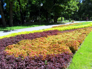 Пловдив ми е Амстердам: Над 1 000 000 цветя разкрасяват града под тепетата