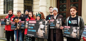 Пред 7 български посолства: Демонстрации в подкрепа на забраната на фермите за ценни кожи