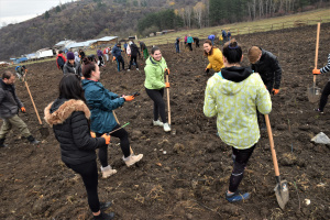 Студенти на ВУЗФ засадиха дръвчета в Новата гора на София