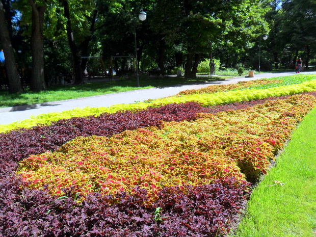 Пловдив ми е Амстердам: Над 1 000 000 цветя разкрасяват града под тепетата