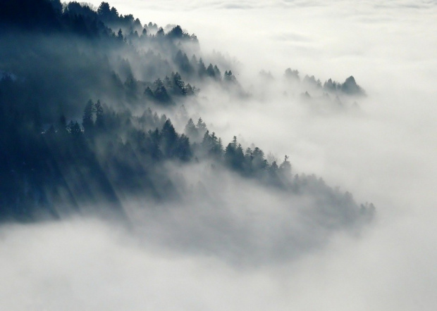 АПИ: Гъста мъгла затруднява движението по АМ „Струма”