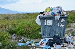 Мащабна акция срещу незаконното съхранение и обработка на боклук в Плевен