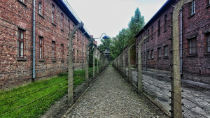 Отбелязваме Международния ден в памет на жертвите на Холокоста