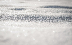 Какви са опасностите от зимата без сняг?