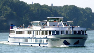 Два кораба заседнаха в река Дунав, плаването е затруднено