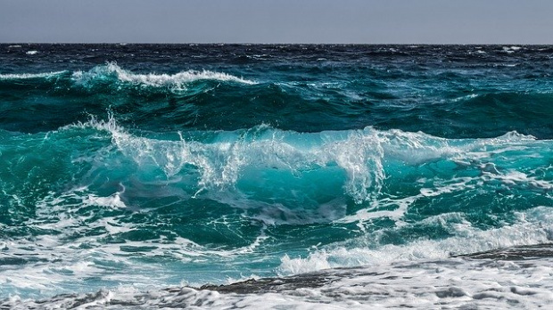 Морето изхвърли запазена кофичка от кисело мляко на 44 години
