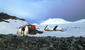 Рекордно високи температури са отчетени на Антарктида
