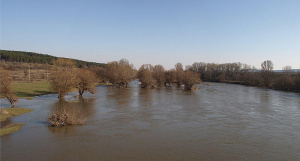 Боклуци отново напълниха коритото на река Марица в Пловдив