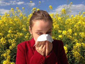 В следващите 5 години -  всеки втори европеец поне с една алергия