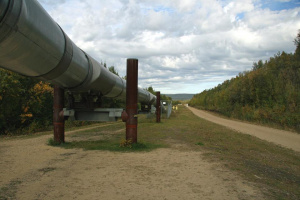 Булгартрансгаз обяви две обществени поръчки за газовата връзка със Сърбия