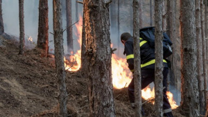 Сезонът на пожарите: Екстремна опасност в половин България