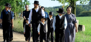 Има ли амиши във Ветринци?