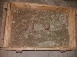 Военнослужещи от Сухопътните войски унищожиха две ръчни гранати, открити в къща в плевенското с. Садовец