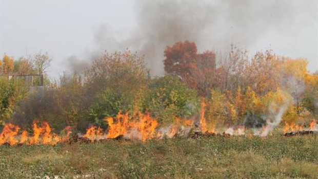 Нови няколко пожара в Ямболско