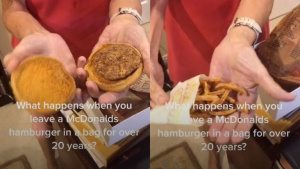 Баба съхраняваше 24 години в кутия хамбургер и картофки от McDonald's, ето как изглеждат ВИДЕО