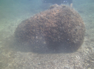 Специализиран екип от Военноморските сили обезвреди морска мина, открита край Созопол