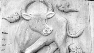 Навлизаме в годината на Металния вол - всичко, което ни очаква в нея