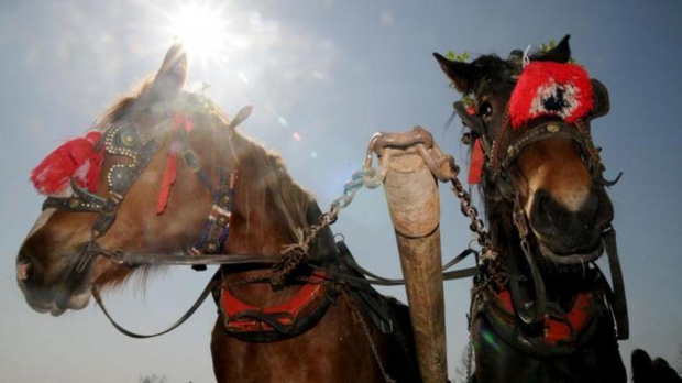 Тодоровден е!