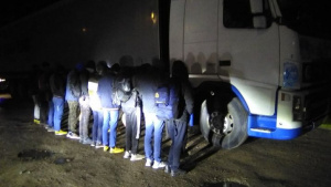 11 нелегални мигранти и шофьорът на превозвалия ги ТИР арестувани близо до границата